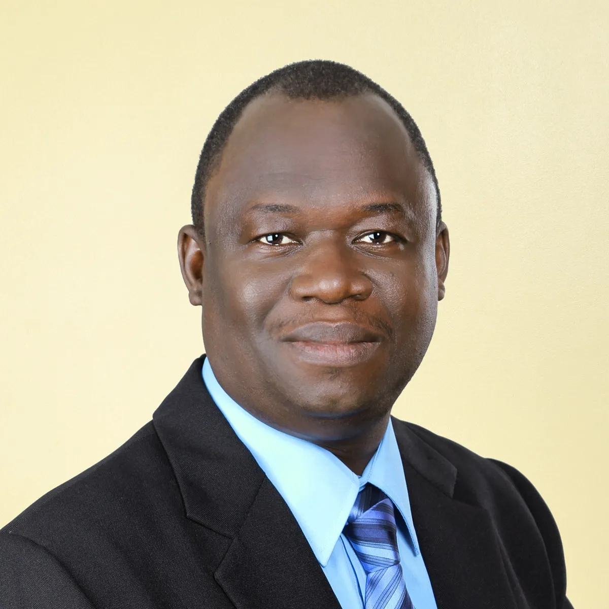 His Honour Mr. Morton Mitchell